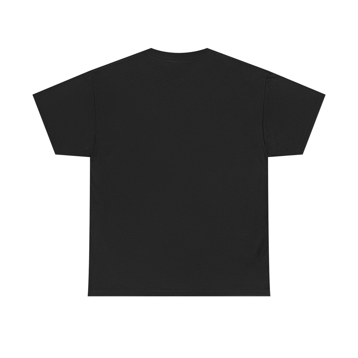 The Taijutsu Prodigy Heavyweight Vintage Pump Cover Tee
